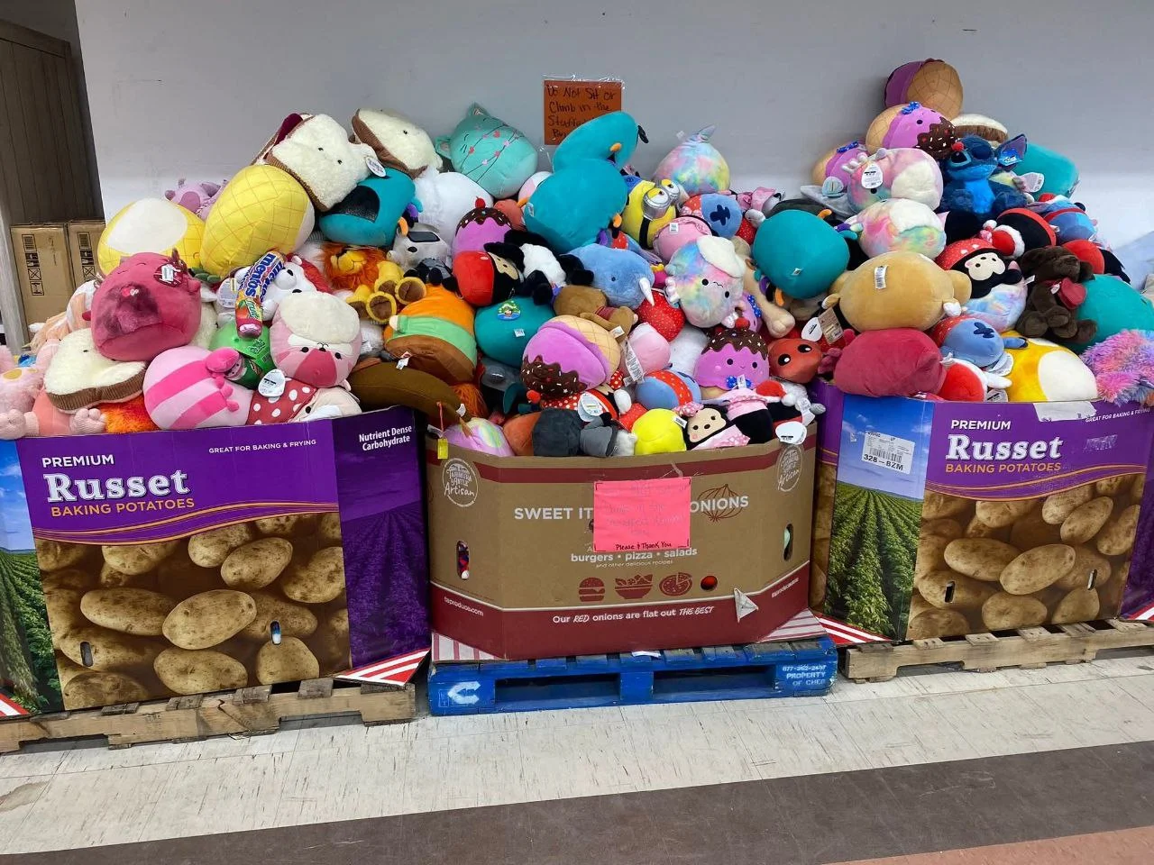 Buy Wholesale Dog Toys By The Pallet (500 Units